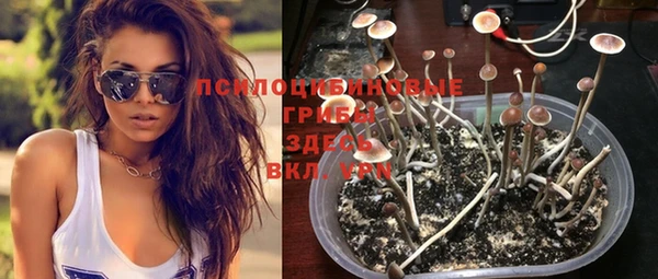 дурь Вязьма