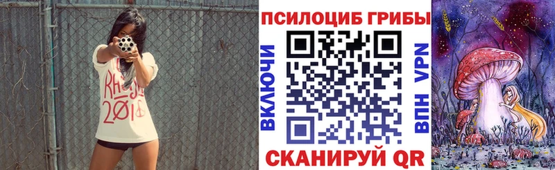 Купить где  Питкяранта  Псилоцибиновые грибы мицелий 
