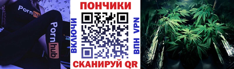 Марихуана планчик  Купить  Питкяранта 